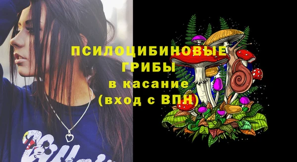 амф Алзамай