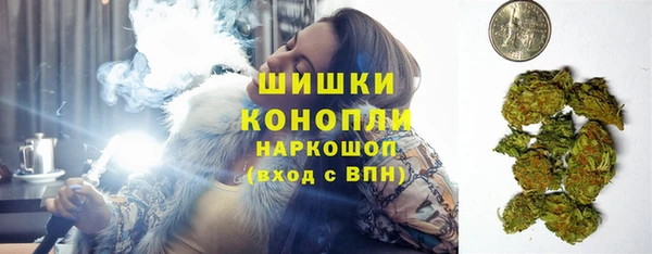 амф Алзамай