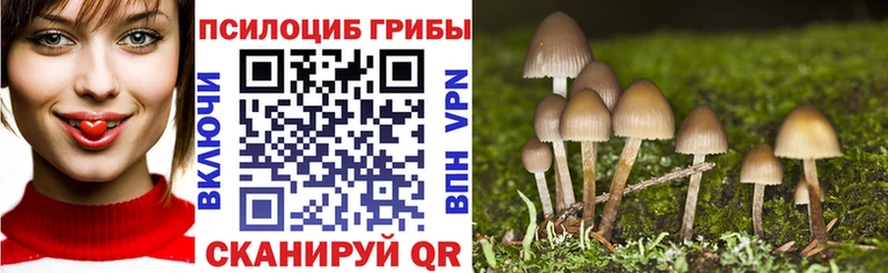 Галлюциногенные грибы GOLDEN TEACHER Динская
